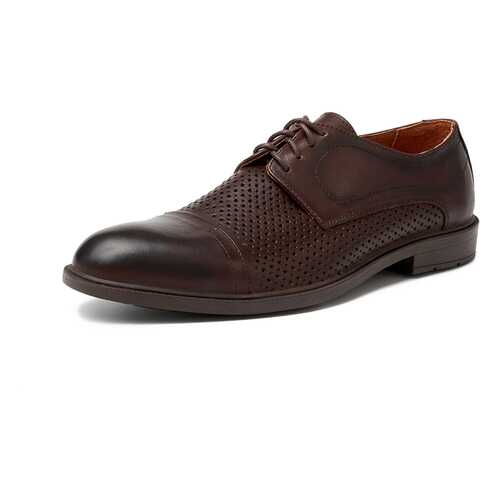 Туфли мужские Alessio Nesca M6118005 коричневые 40 RU в 5 Карманов